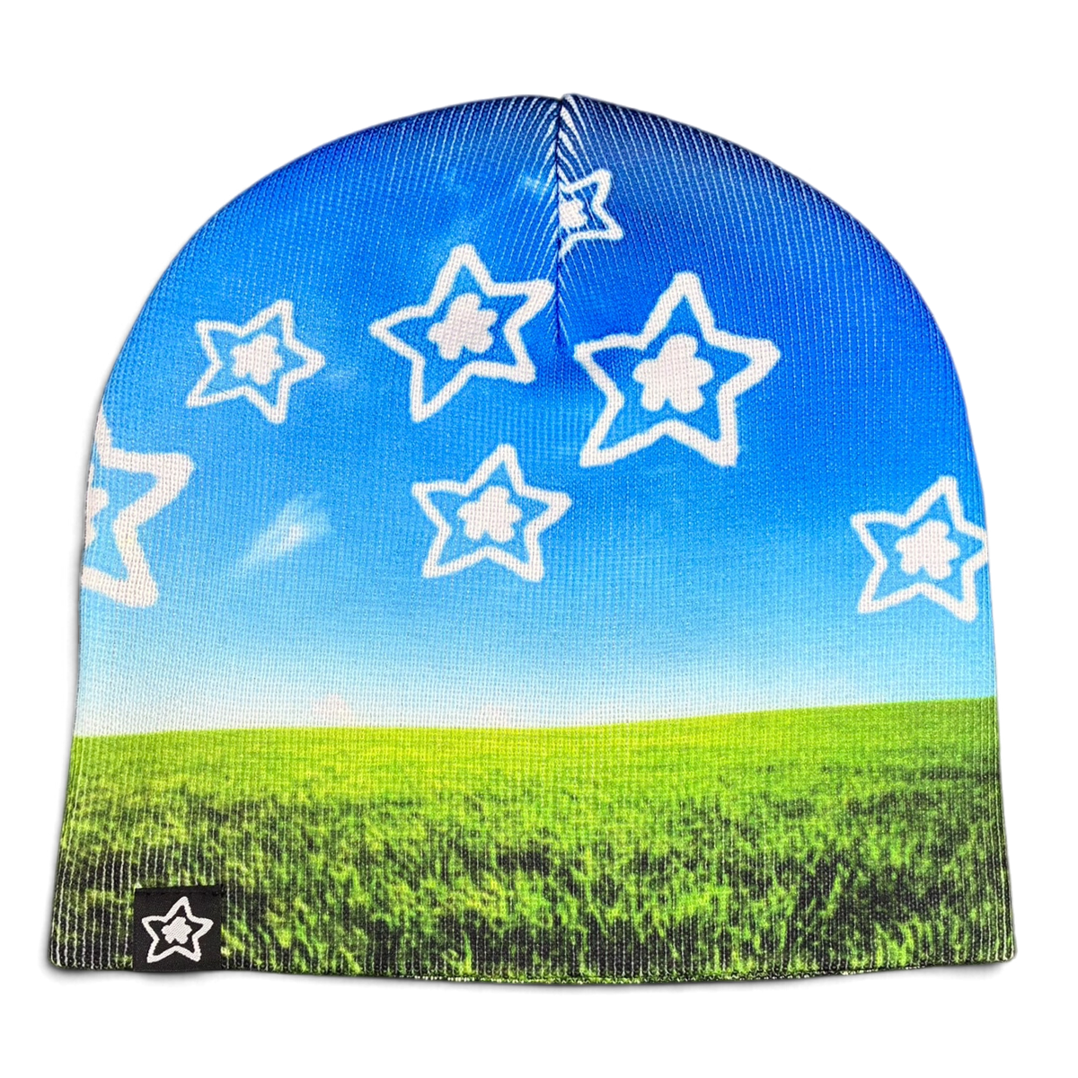 EARTH BEANIE