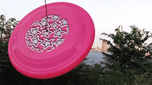 PINK FRISBEE